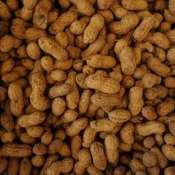 Peanuts, a common food allergy.