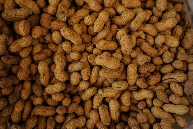 Peanuts, a common food allergy.